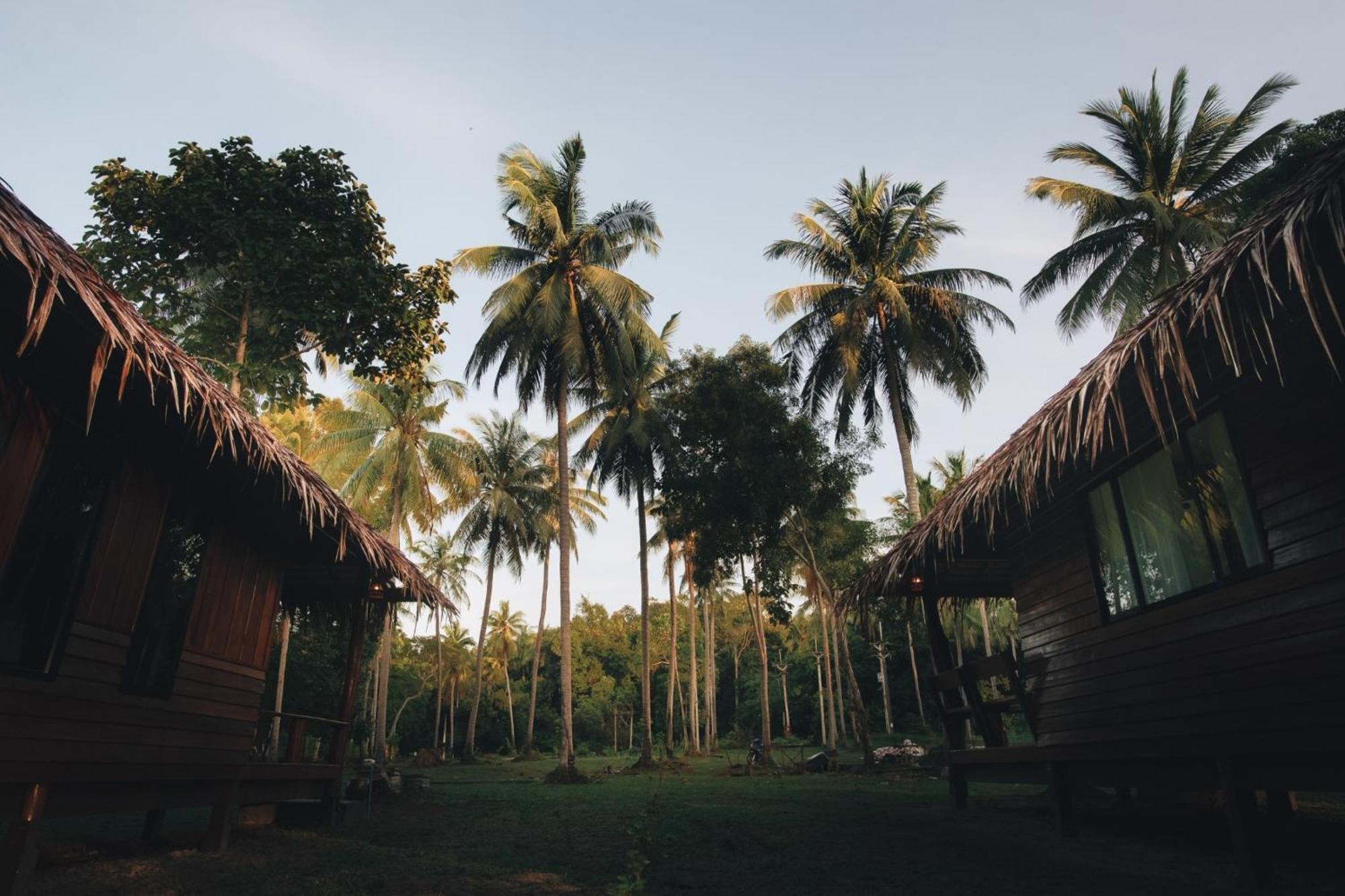 Coco Canopy Boutique Resort 俊穆岛 外观 照片